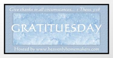gratituesday4whitewhite6.jpg
