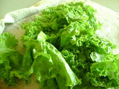 lettucefromgardensm.JPG
