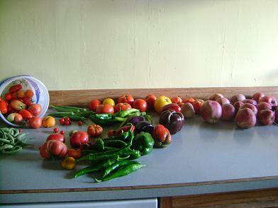 gardenproducesept09sm