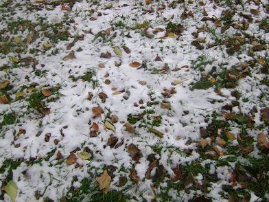 snowinoctobersm