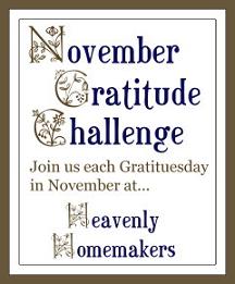 novembergratitudechallengesm