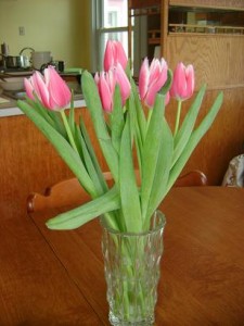Free Printables Archives | Heavenly Homemakers
