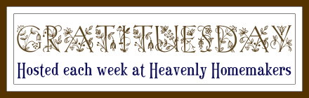 gratituesdaynov09