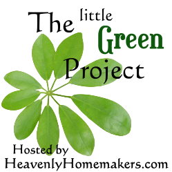 littlegreenproject