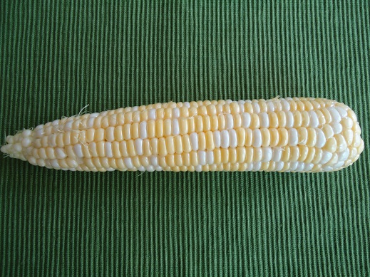 corn