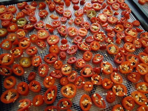 dehydrating_peppers