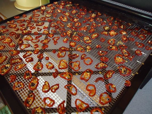 dehydrating_peppers_2