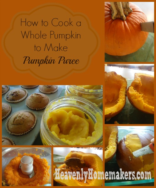 Pumpkin_Puree_Collage_2
