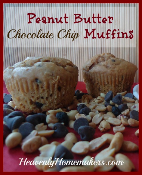 Peanut Butter Chocolate Chip Muffins