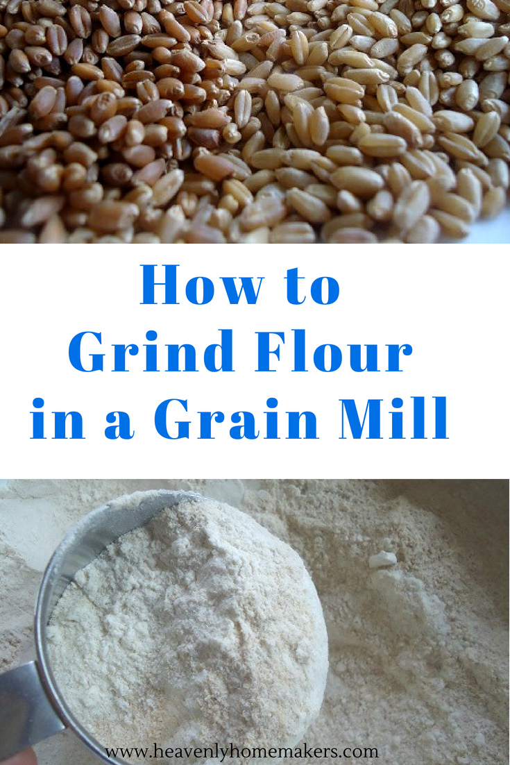 How to Grind Flour in a Grain Mill! #grainmill #grindflour #wholewheatflour