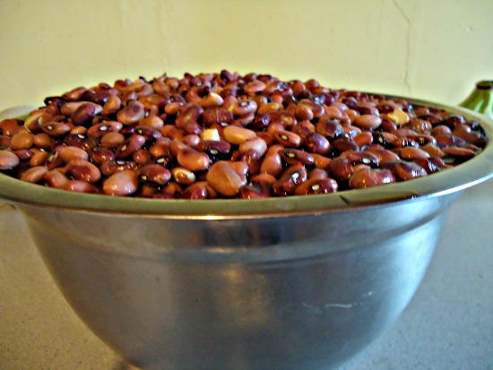 beans 1