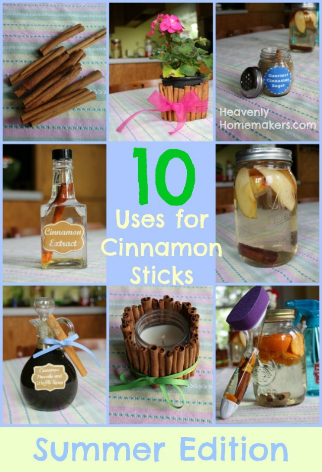 10 Great Uses for Cinnamon Sticks - The Summer Edition