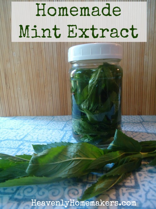 Homemade Mint Extract 2