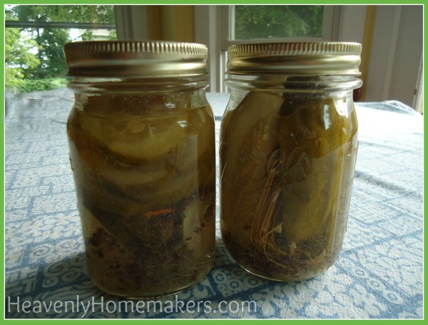 Homemade Dill Pickles