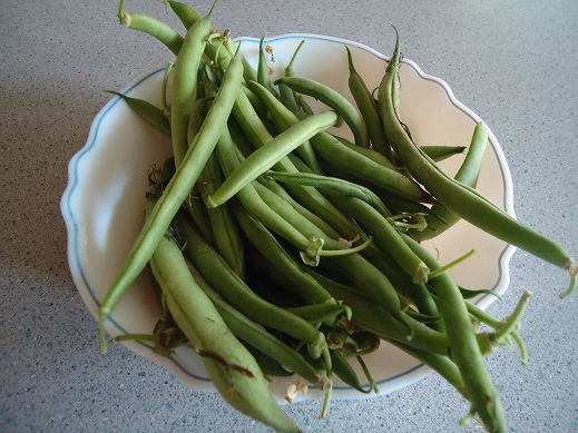 garden beans