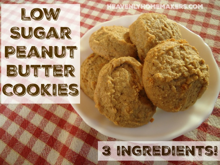 Low Sugar Peanut Butter Cookie Recipe