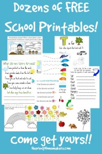 "My State Study" Free Mini-Unit Printable For All! | Heavenly Homemakers