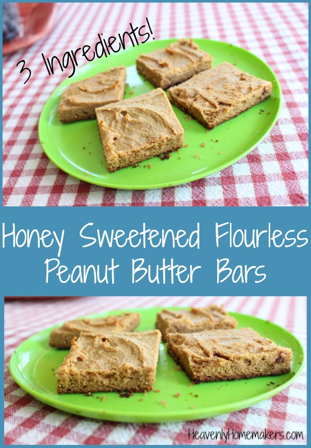 Honey Sweetened Flourless Peanut Butter Bars