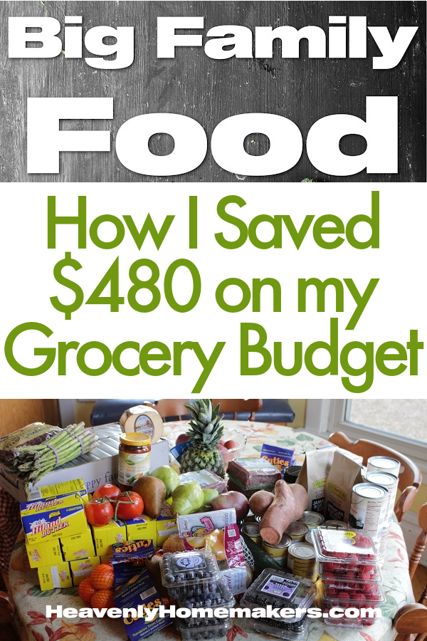 Budget Food Savings
