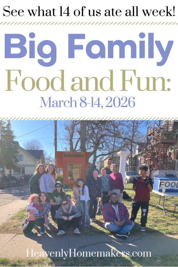 Big Family Food and Fun: March 8-14, 2026